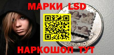 шишки Тара