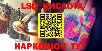 шишки Тара