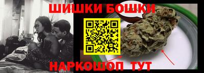 шишки Тара