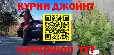 шишки Тара