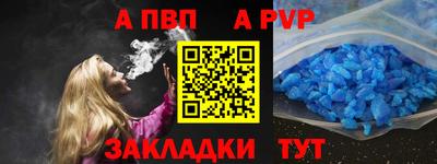 шишки Тара