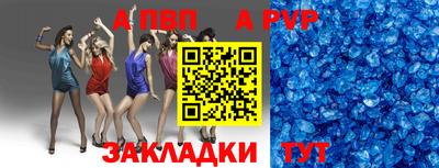 шишки Тара