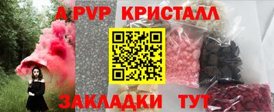 шишки Тара