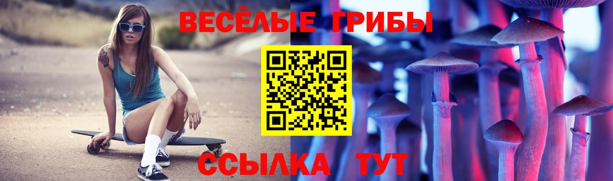 Галлюциногенные грибы Magic Shrooms  Вход с VPN  Моздок  Псилоцибиновые грибы Magic Shrooms 